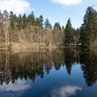 kleine Waldseeidylle