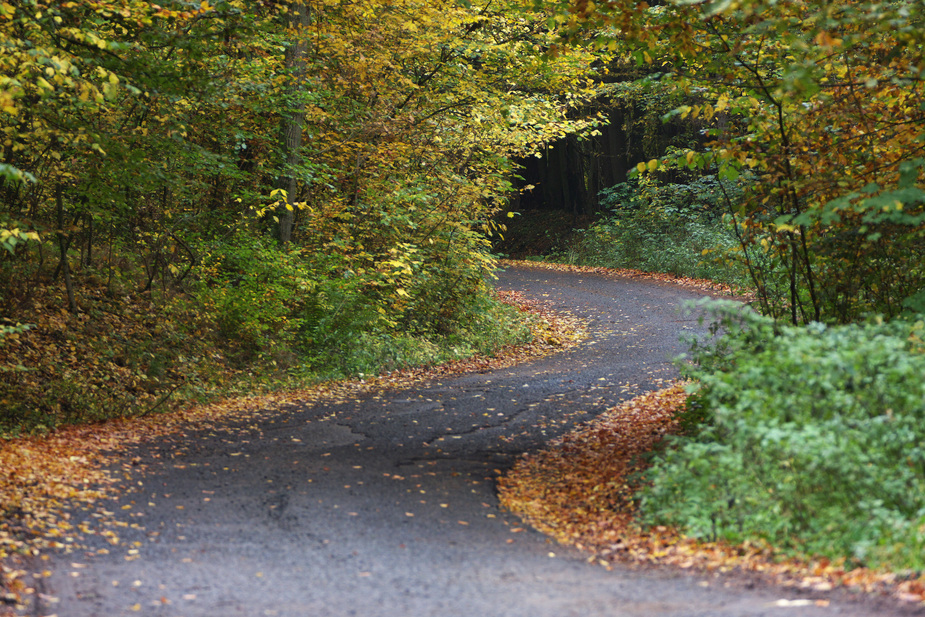 kleine Waldstraße