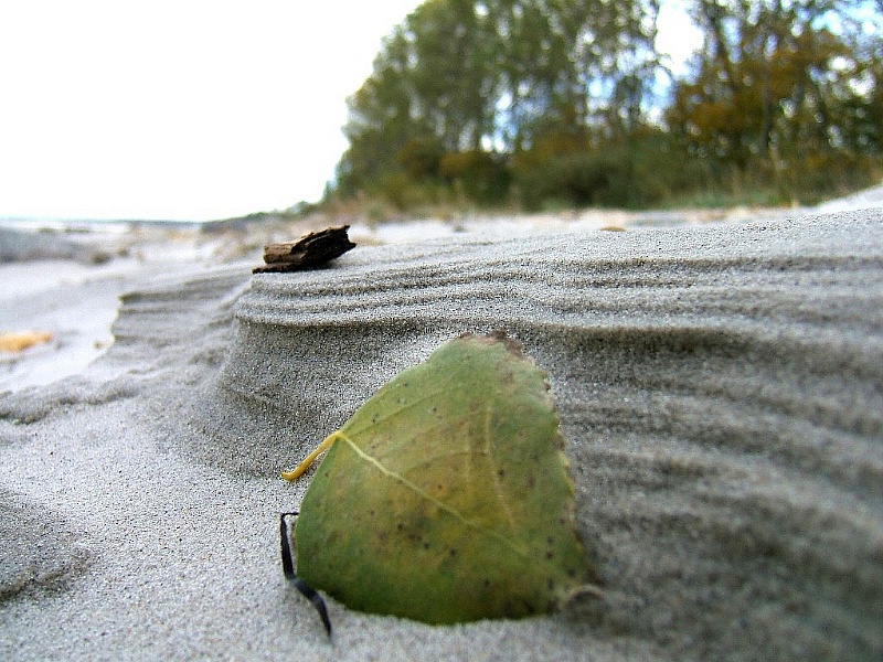 kleine Wanderdüne