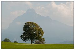 Kleine Wanderung