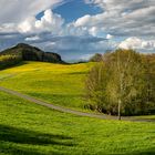 kleine Wanderung auf dem "Kreuzweg"