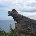 Kleine Wanderung entlang der Ostsee