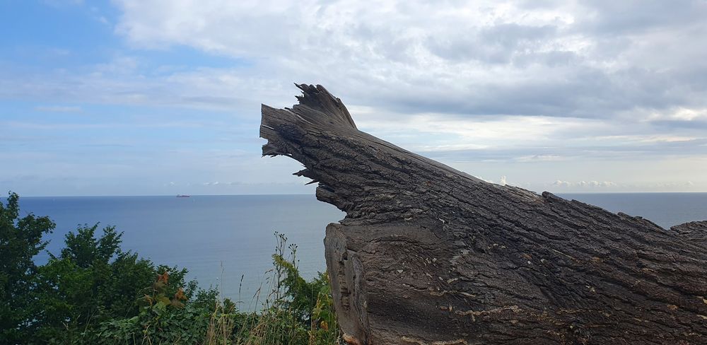 Kleine Wanderung entlang der Ostsee