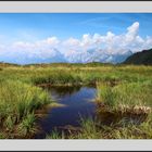 Kleine Wanderung zur Loas - 2