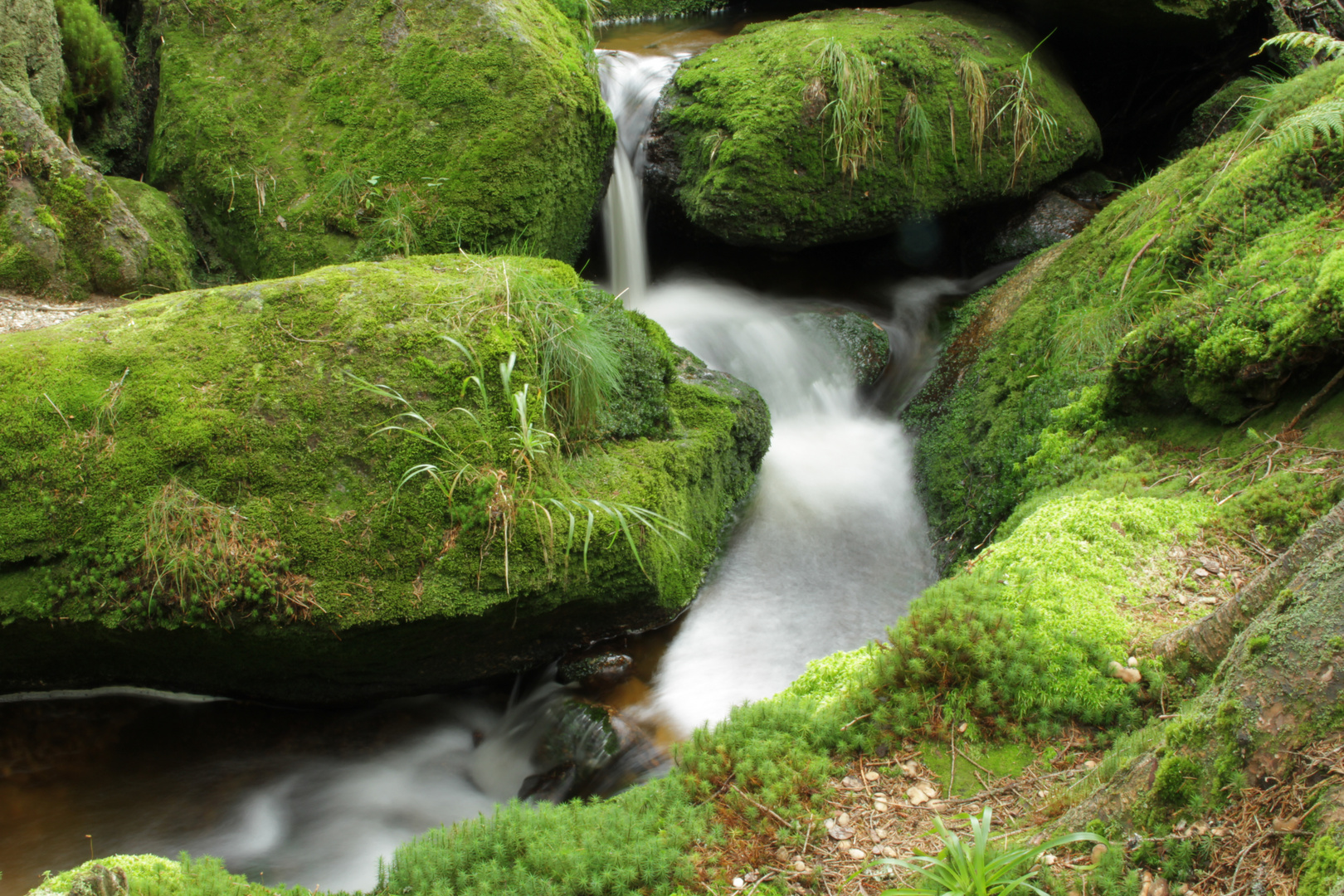 kleine Wasserfälle im bayerische Wald