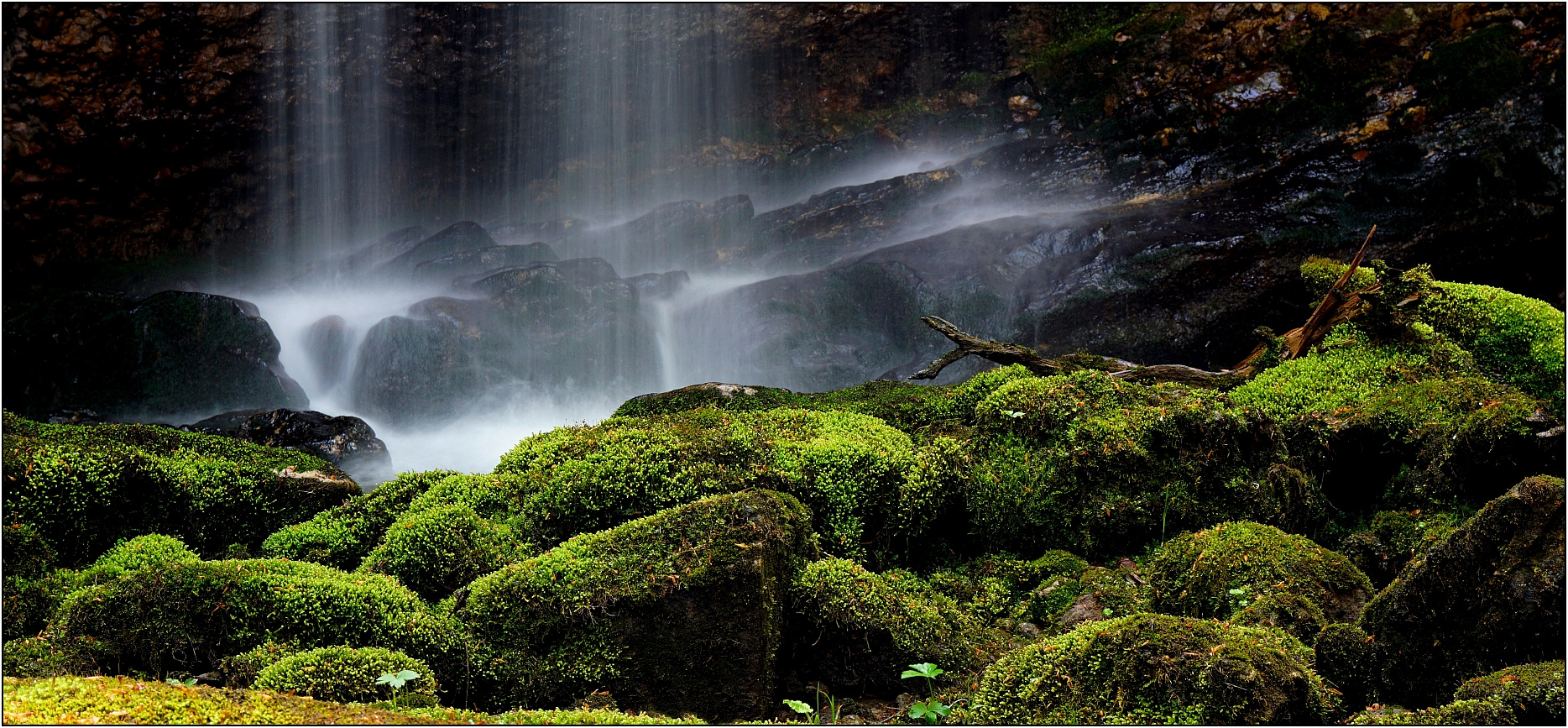 Kleine Wasserwildnis