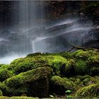 Kleine Wasserwildnis