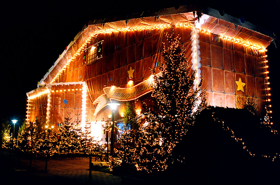 Kleine Weihnachtsserie: Restaurant Lake Side, Zürich (3)