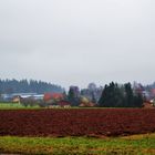 Kleine Weiler im Schwarzwald