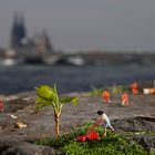 kleine Welt am Rhein in Köln