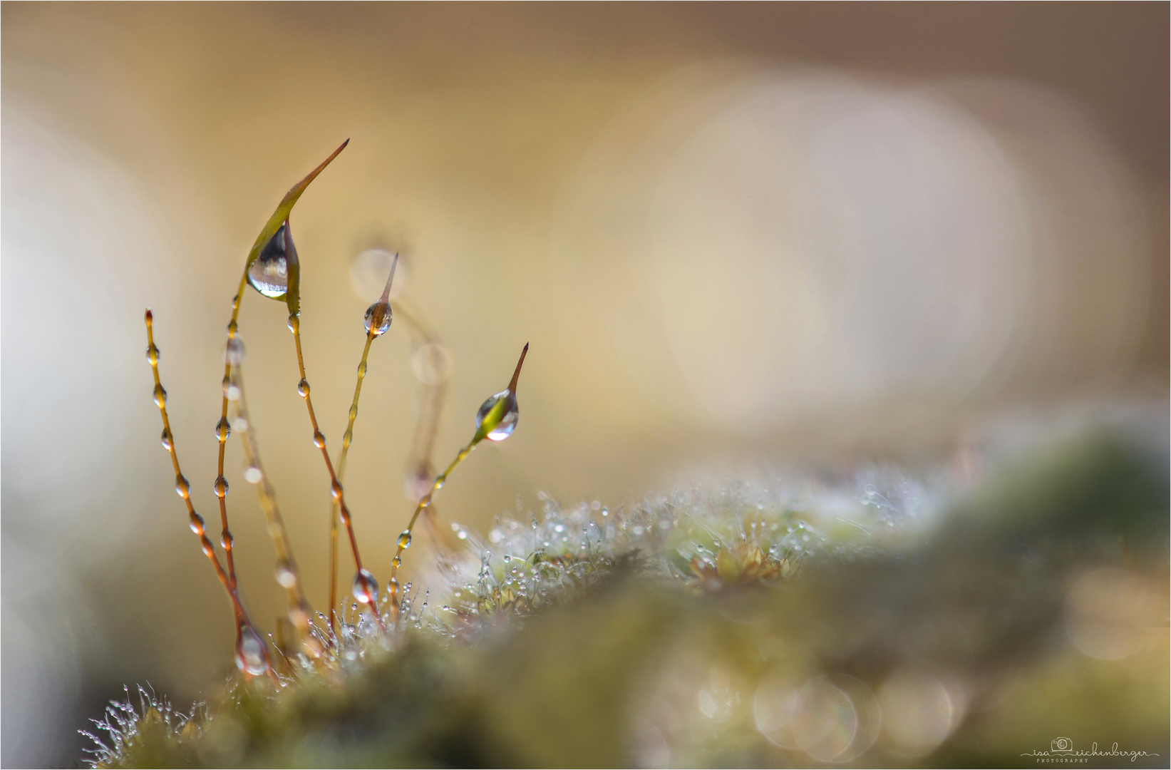 kleine Welt ganz gross