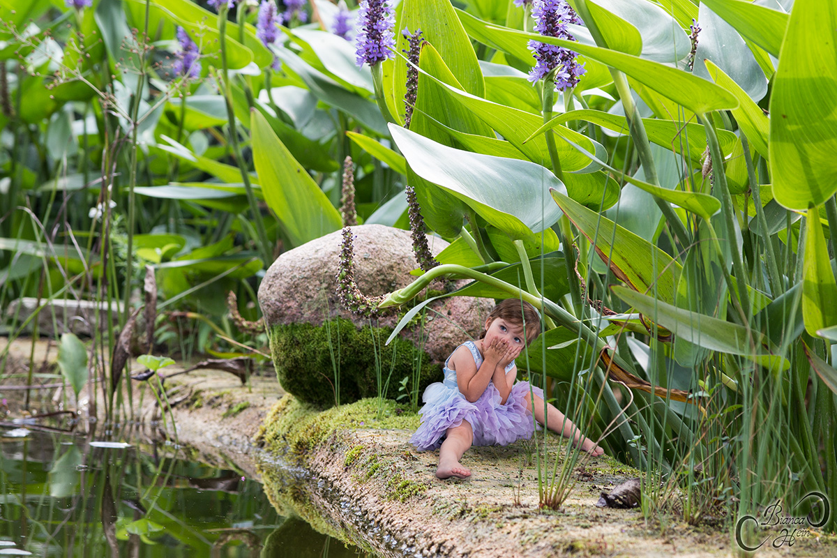 Kleine Welt ganz Groß-Teich-