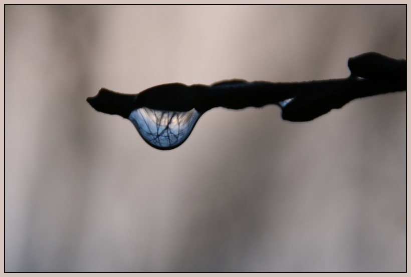 kleine Welt im Tropfen