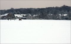 Kleine Winterfreuden