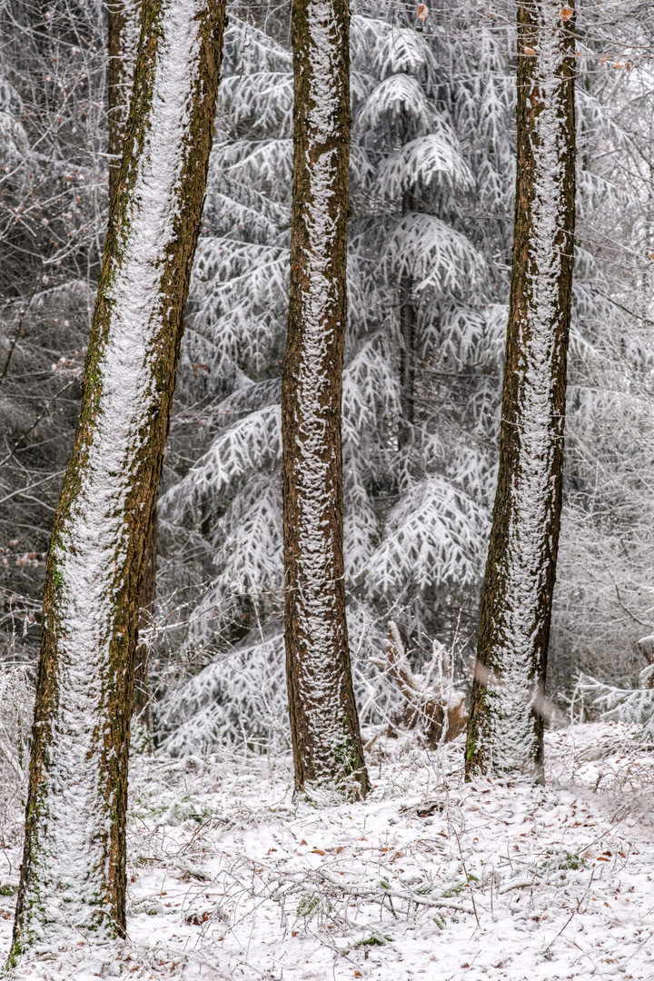 Kleine Winterlandschaft