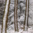 Kleine Winterlandschaft