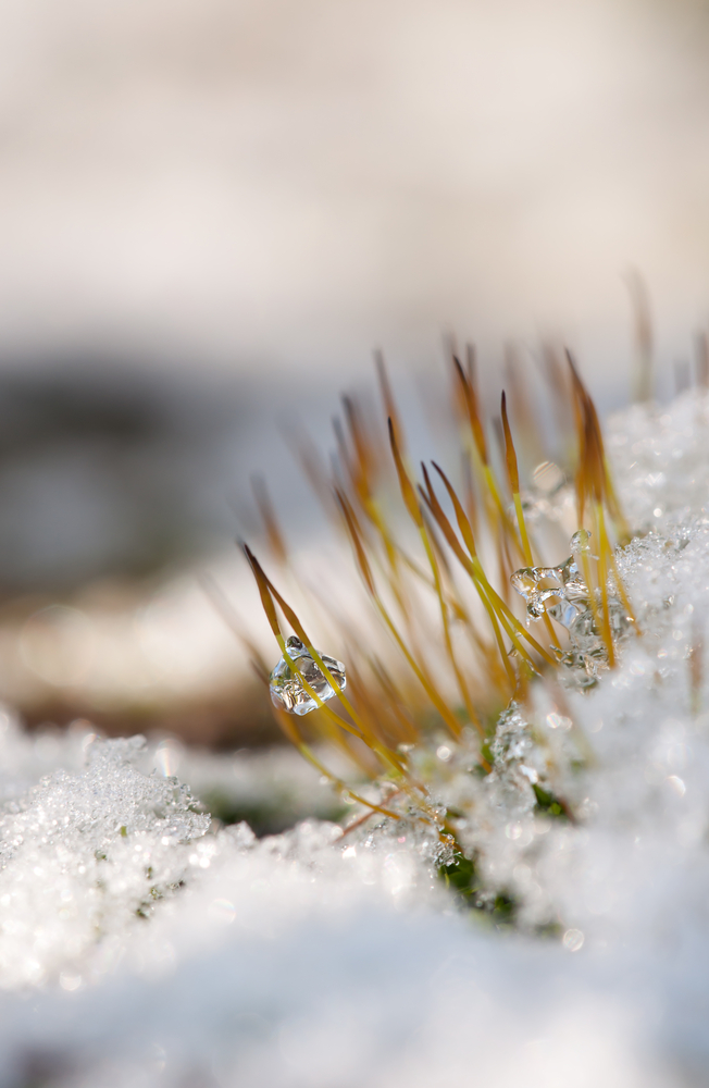 Kleine Winterlandschaft