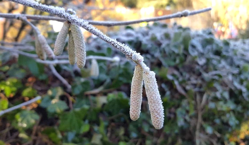 Kleine winterliche Überraschung