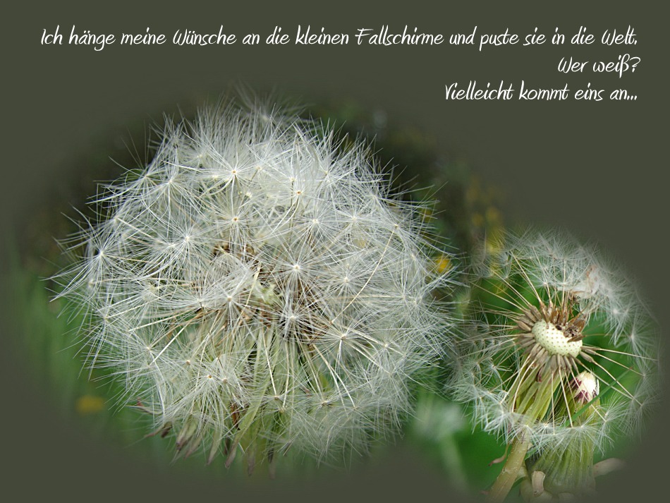 ...kleine Wünsche... Foto & Bild | karten und kalender, karten 2009