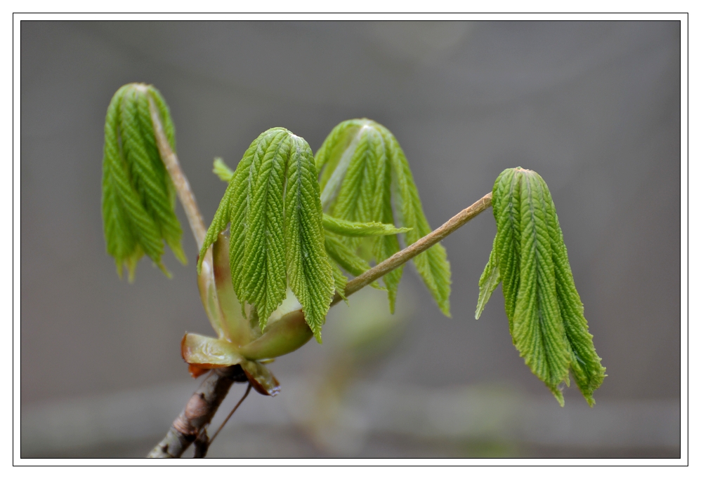 Kleine Wunder...