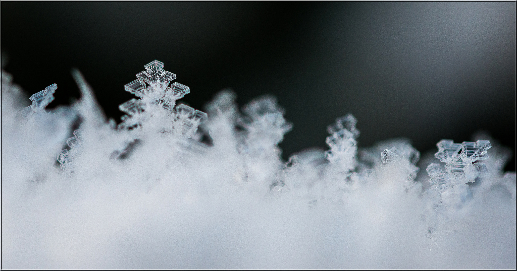 Kleine Wunder am Wegesrand