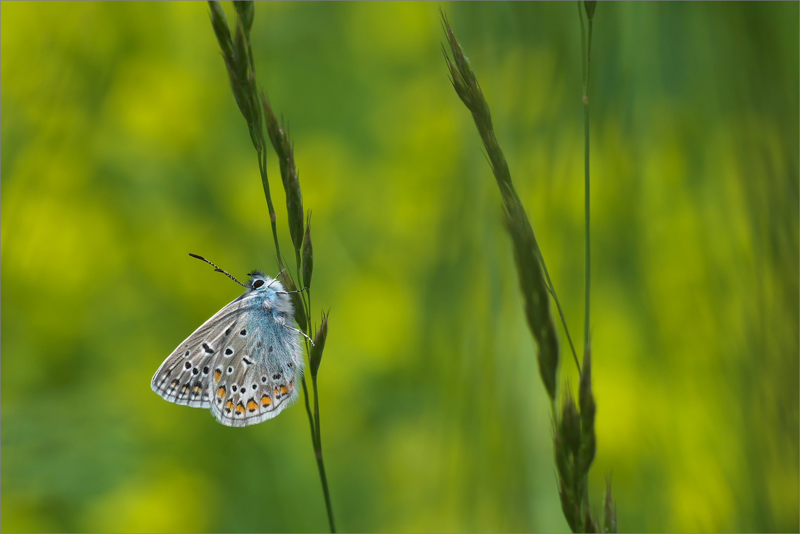 Kleine Wunder