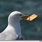 Kleine Zwischenmahlzeit