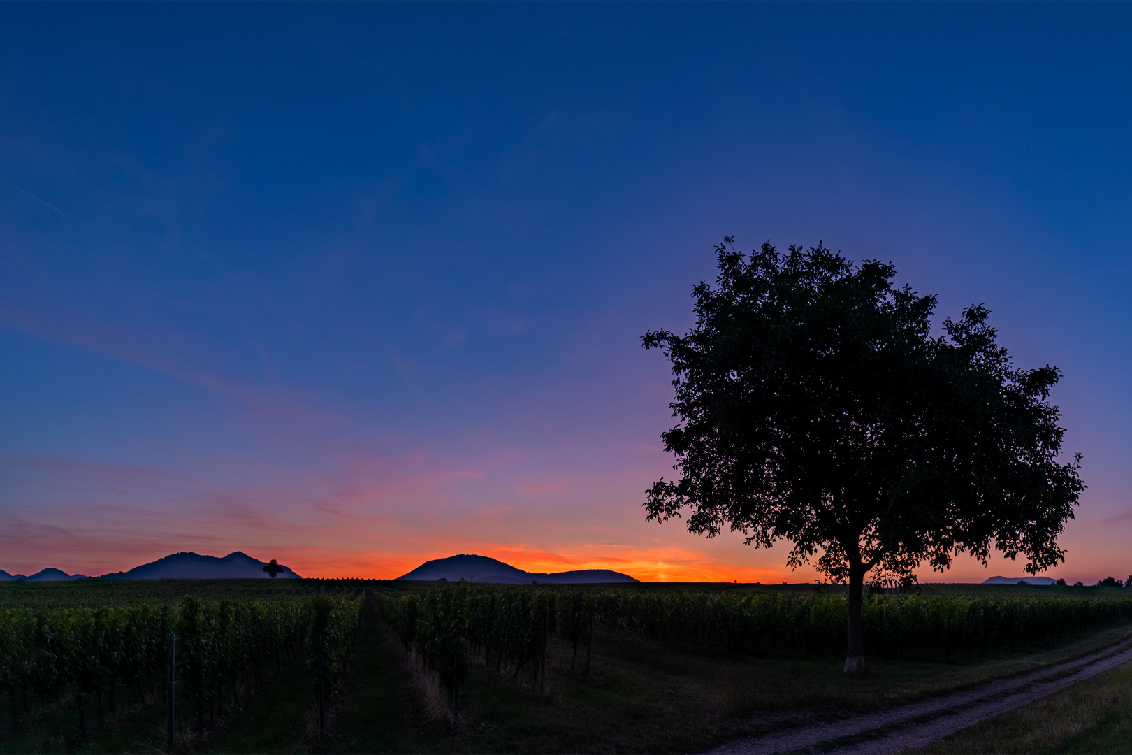 Kleine_Kalmit_Sonnenuntergang