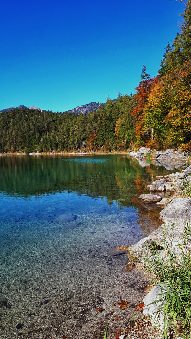 ....kleiner Abstecher zum Untersee....