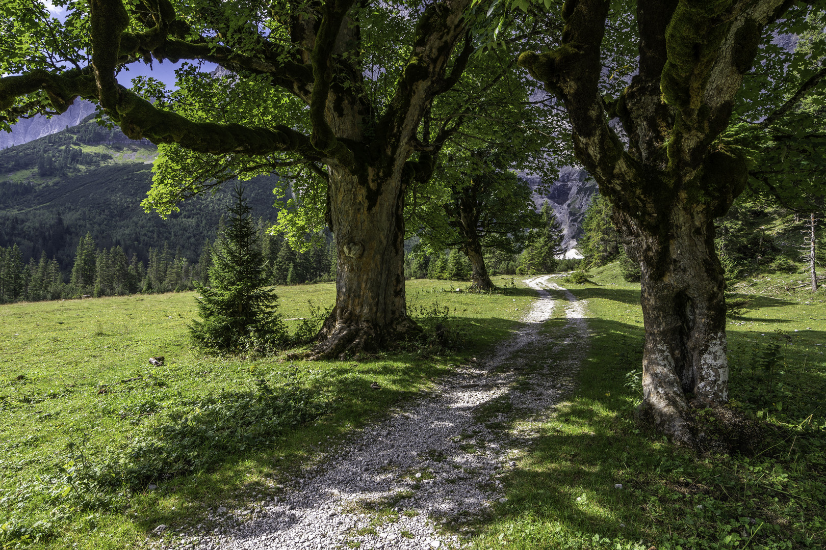 Kleiner Ahornboden