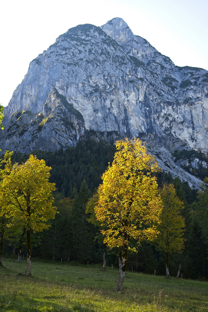 Kleiner Ahornboden