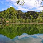 Kleiner Alpsee