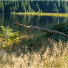  Kleiner Arbersee