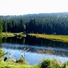 Kleiner Arbersee 1