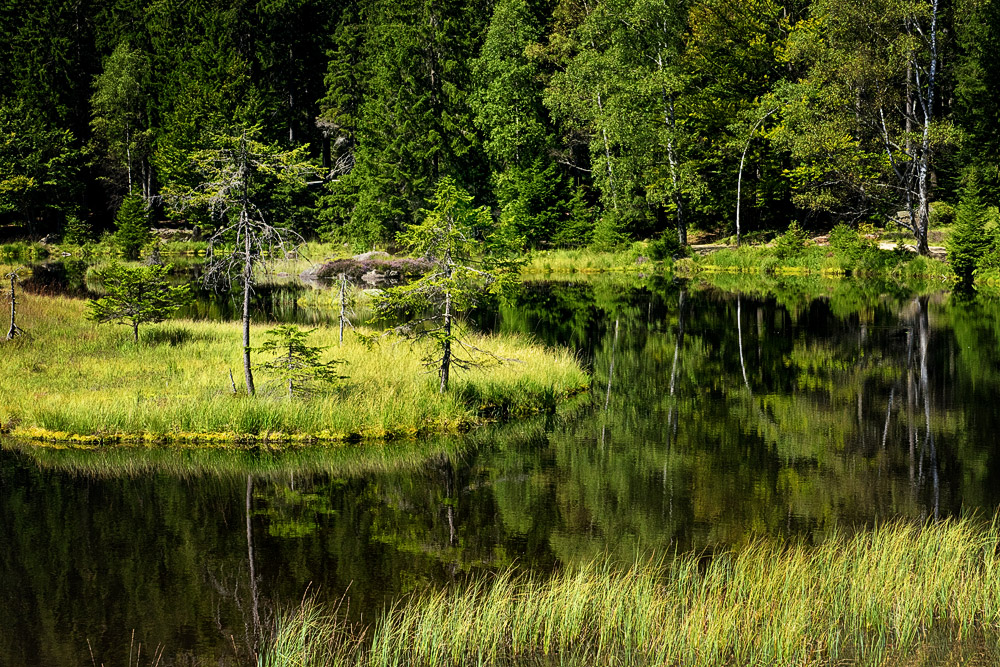 Kleiner Arbersee 2