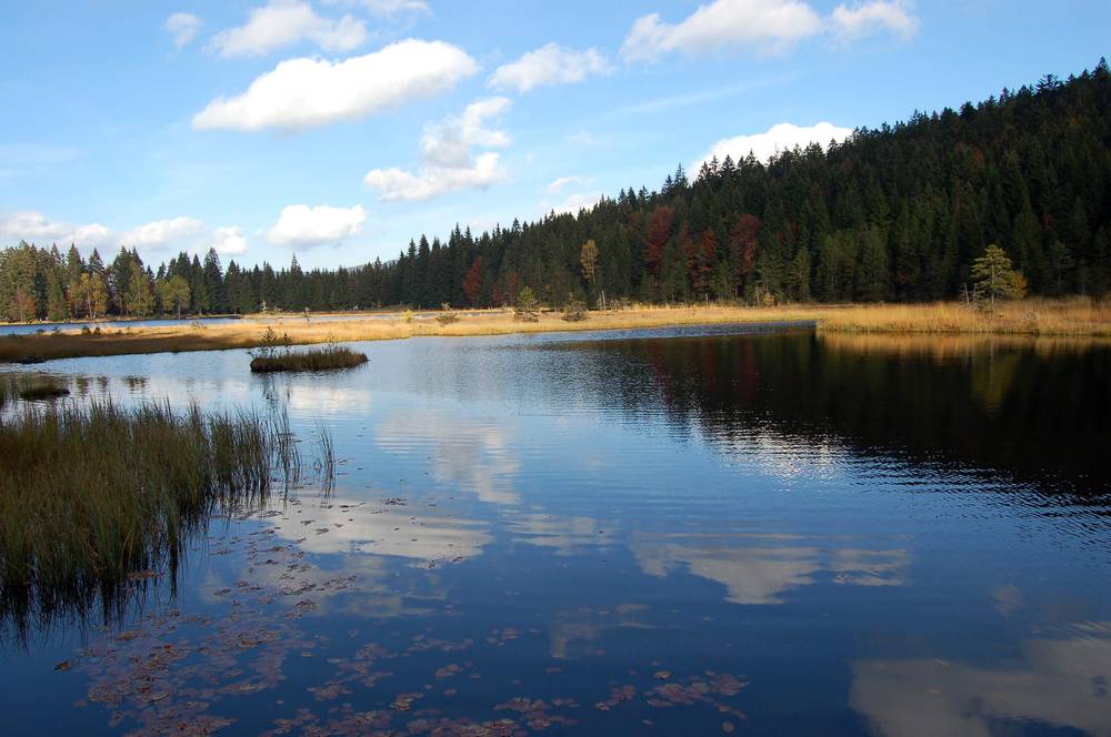 kleiner Arbersee