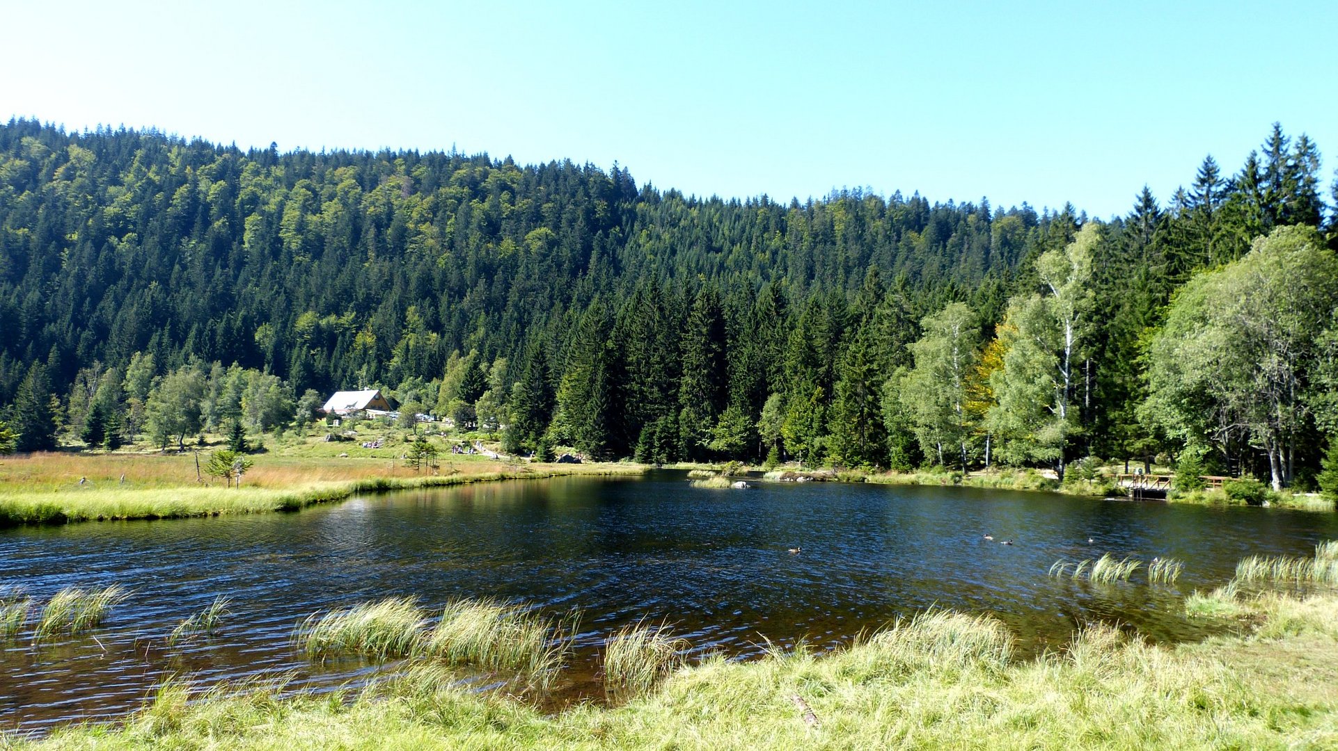 Kleiner Arbersee 3