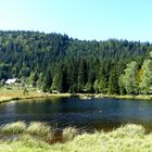 Kleiner Arbersee 3