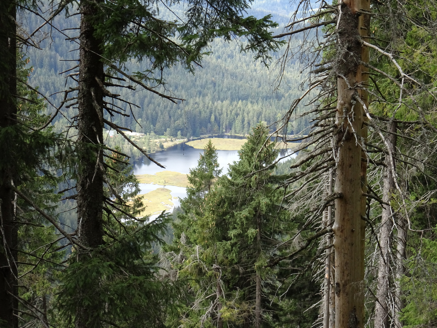 Kleiner Arbersee (918m) Bayerischer Wald