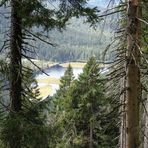 Kleiner Arbersee (918m) Bayerischer Wald