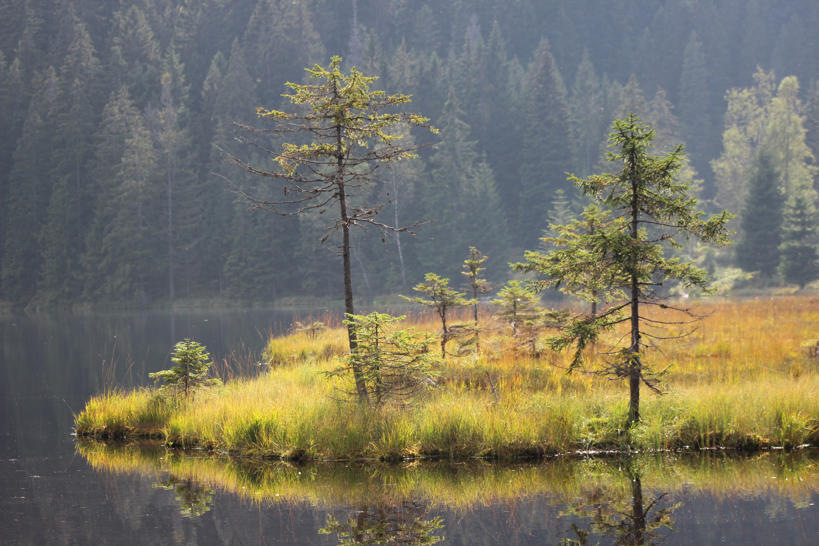 Kleiner Arbersee am 16.9.2014