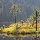 Kleiner Arbersee am 16.9.2014