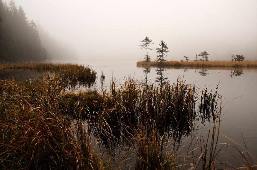 Kleiner Arbersee