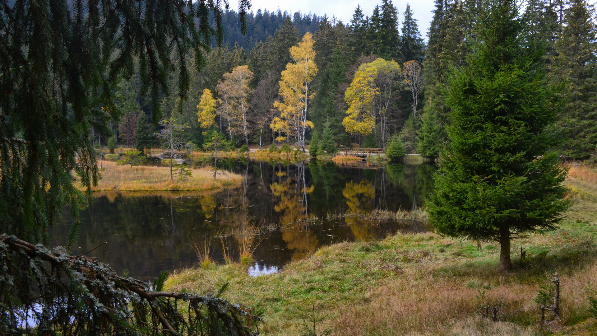 Kleiner Arbersee / Bayrischer Wald