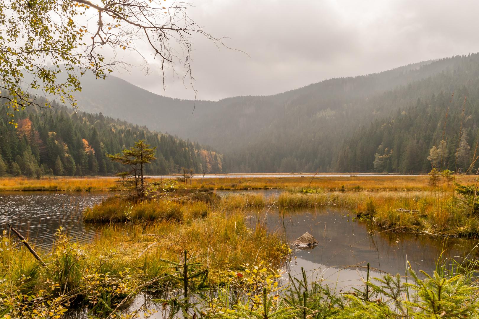 Kleiner Arbersee bei Dunst