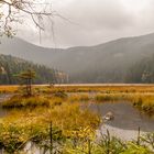 Kleiner Arbersee bei Dunst