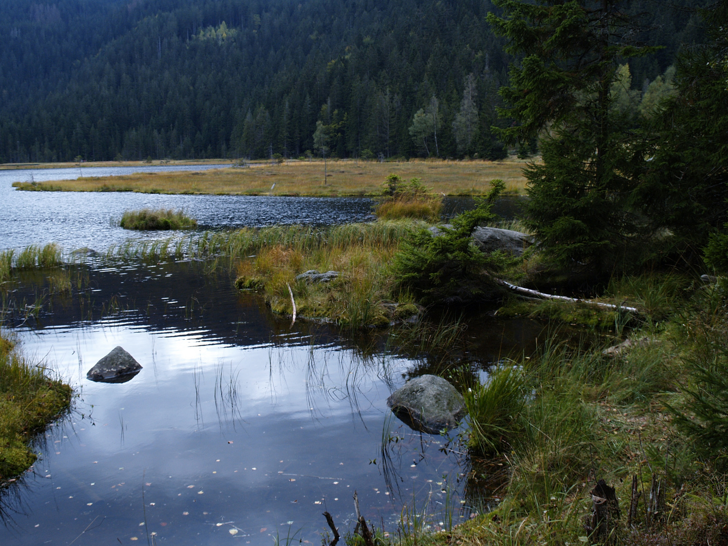 Kleiner Arbersee im Herbst 2009