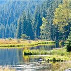 kleiner Arbersee im Herbstlicht