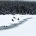 Kleiner Arbersee im weißen Gewand