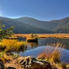 Kleiner Arbersee in der Morgensonne